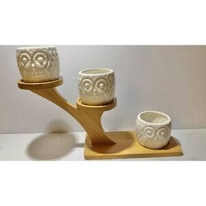 3pcs Owl Succulent Pots with 3 Tier Bamboo Saucers Stand Holder - White Modern D